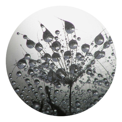 Podložka pod kolieskovú stoličku okrúhla Kvapky na púpave