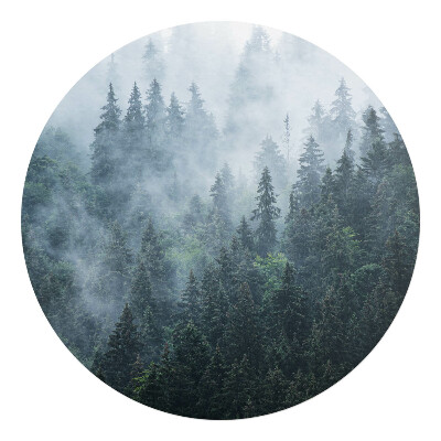 Podložka pod stoličku na kolieskach okrúhla Hmlistý ihličnatý les
