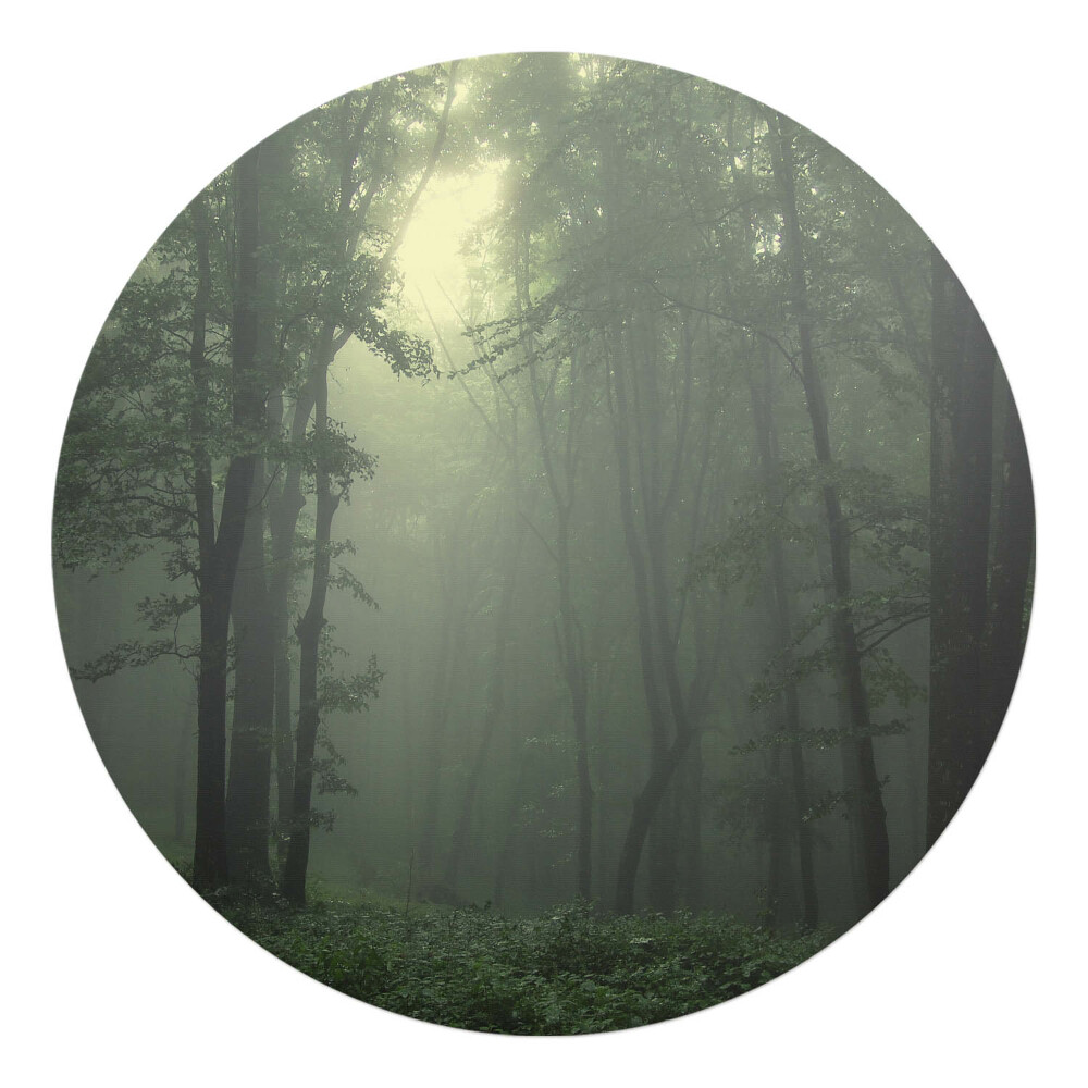 Podložka pod kolieskovú stoličku okrúhla Hmlistý les za úsvitu