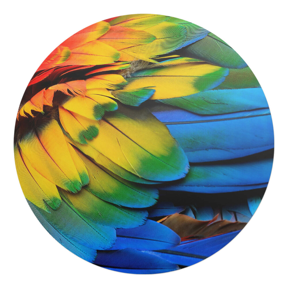 Podložka pod stoličku okrúhla Farebné papagájové perie