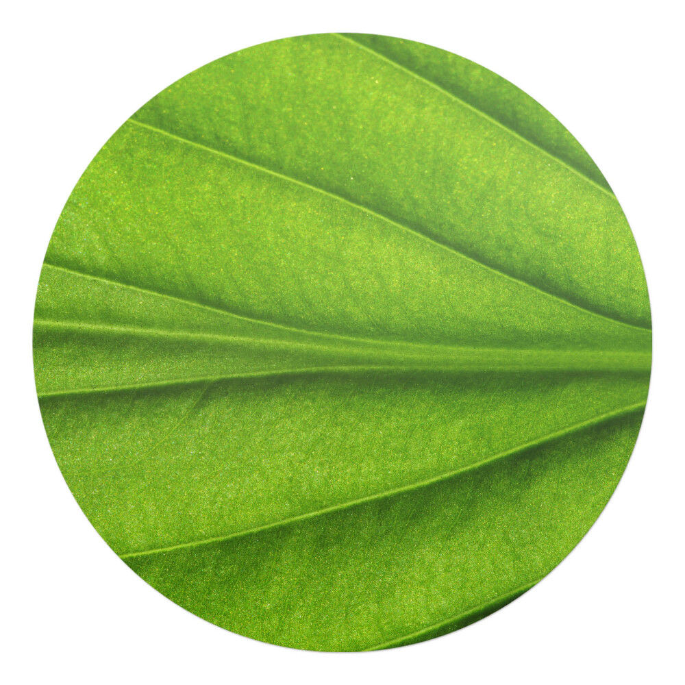 Podložka pod kolieskovú stoličku okrúhla List zblízka
