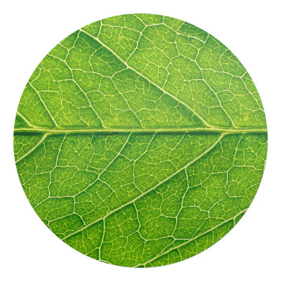 Podložka pod kolieskovú stoličku okrúhla Detail listu