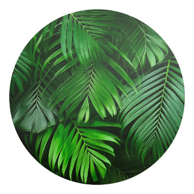 palmový list, pozadie