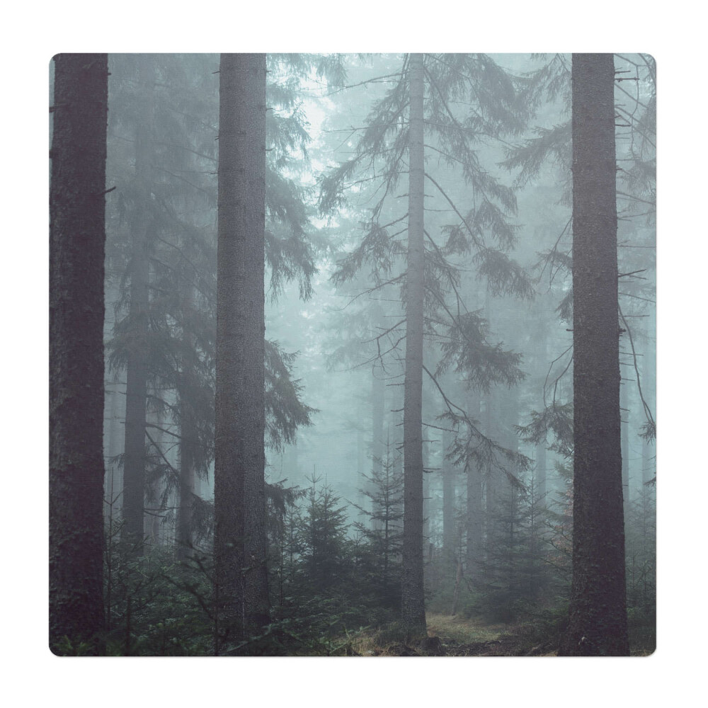 Podložka pod stoličku Hmlistý ihličnatý les