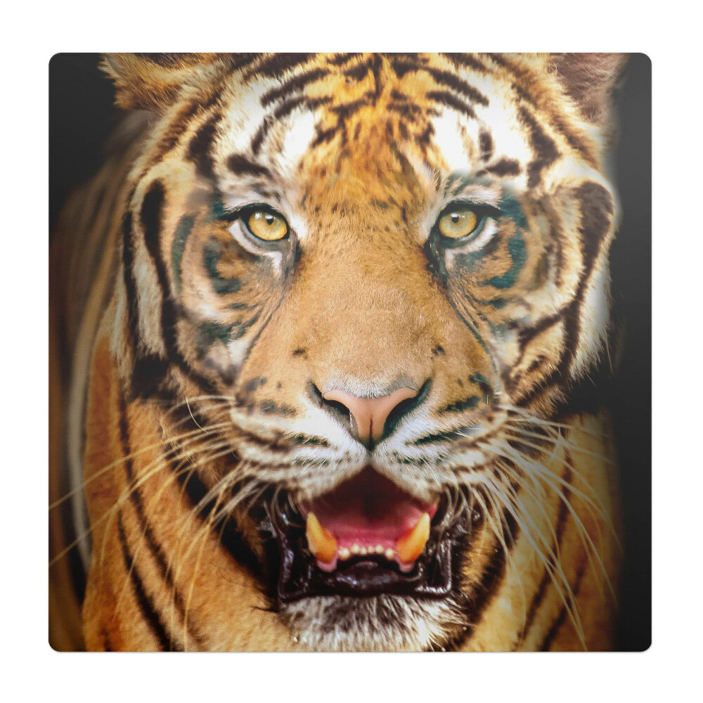 Podložka pod kolieskovú stoličku Tiger - detailný záber na papulu