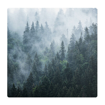 Podložka pod stoličku na kolieskach Hmlistý ihličnatý les