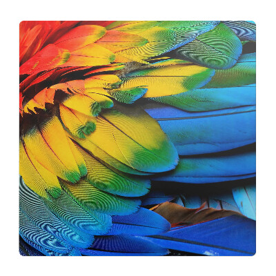 Podložka pod stoličku Farebné papagájové perie