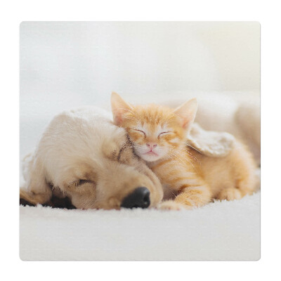 Podložka pod stoličku na kolieskach Sladký sen o zvieratách