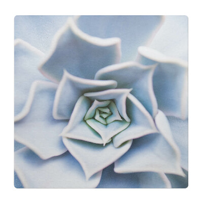 Podložka pod kolieskovú stoličku Špirálové sukulenty