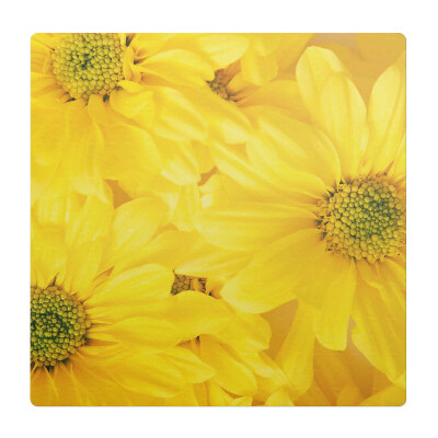 Podložka pod stoličku Slnečné kvety