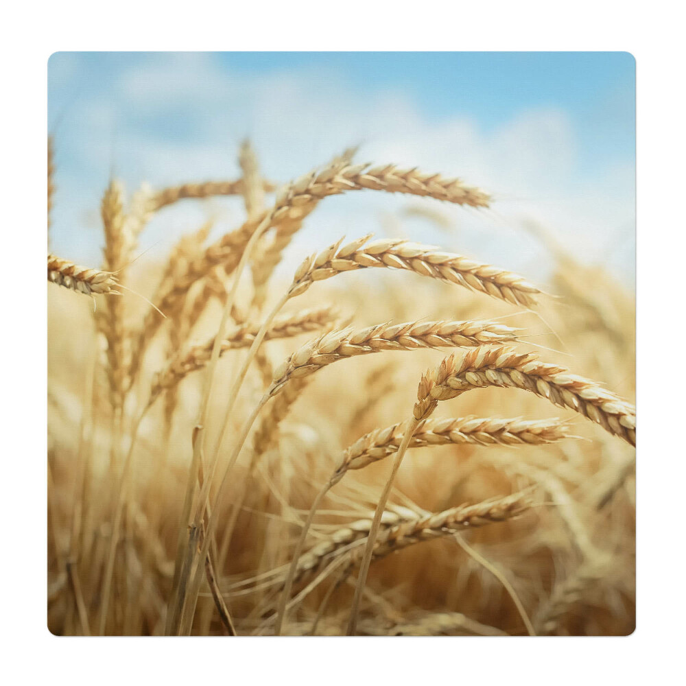 Podložka pod stoličku na kolieskach Klasy kukurice na poli