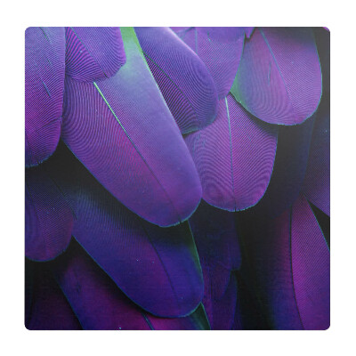 Podložka pod kolieskovú stoličku Perie v odtieňoch