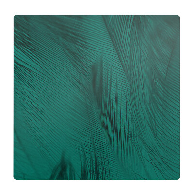 Podložka pod kolieskovú stoličku Perie v odtieňoch