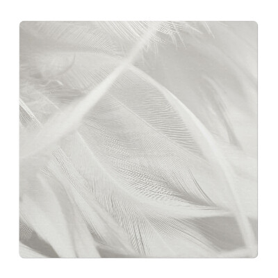 Podložka pod stoličku Jemné pierka