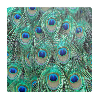 Podložka pod stoličku Vzor pávieho peria