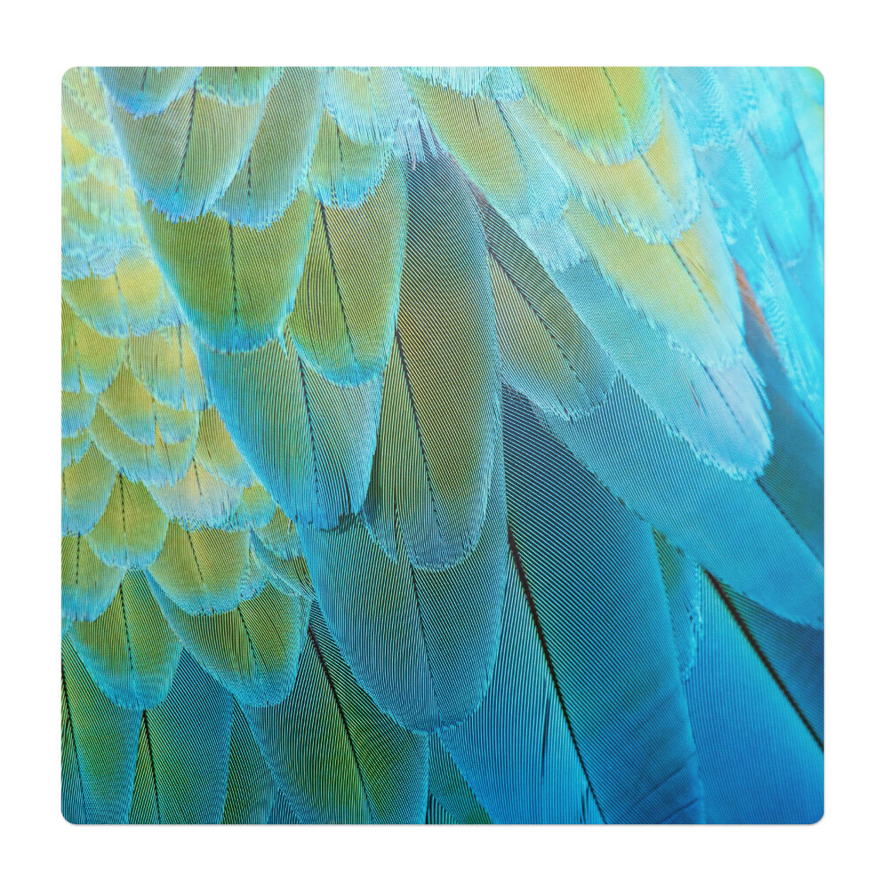 Podložka pod stoličku Vtáčie perie zblízka