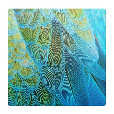 Podložka pod stoličku Vtáčie perie zblízka