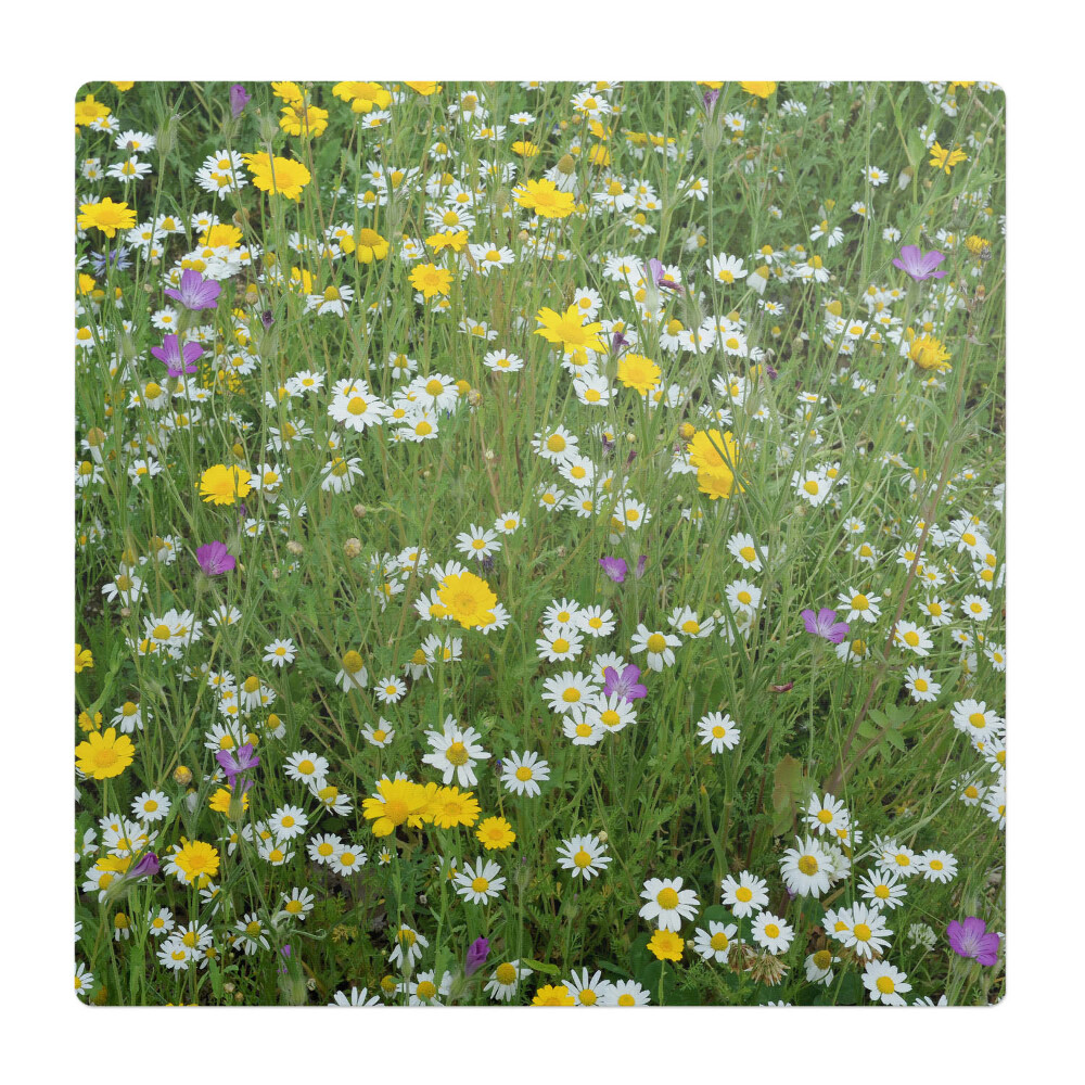 Podložka pod stoličku na kolieskach Kvitnúca lúka