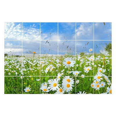 Samolepky na kachličky Kvetinová lúčna krajina