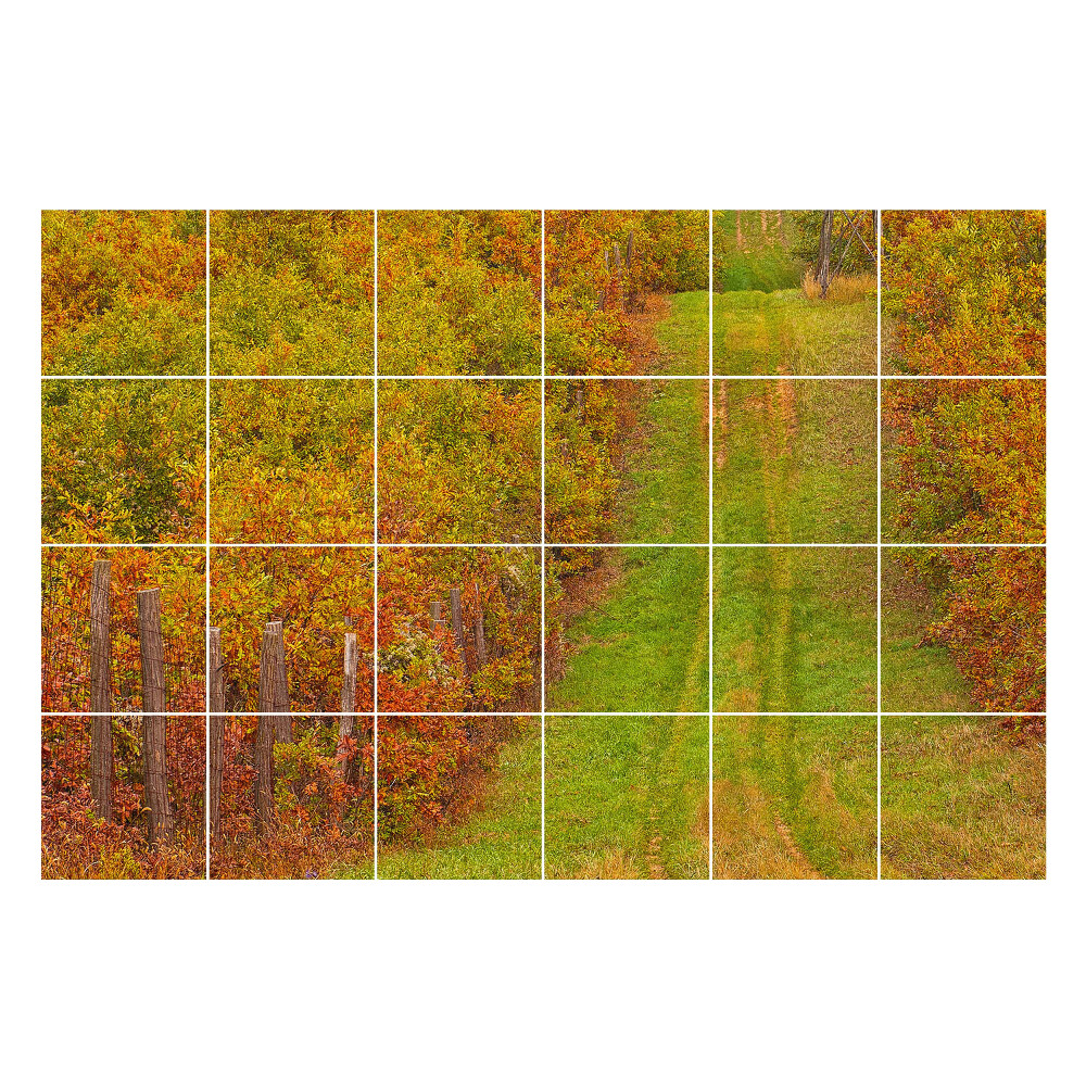 Nálepky na dlaždice Jesenný chodník v prírode