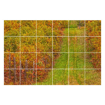 Nálepky na dlaždice Jesenný chodník v prírode