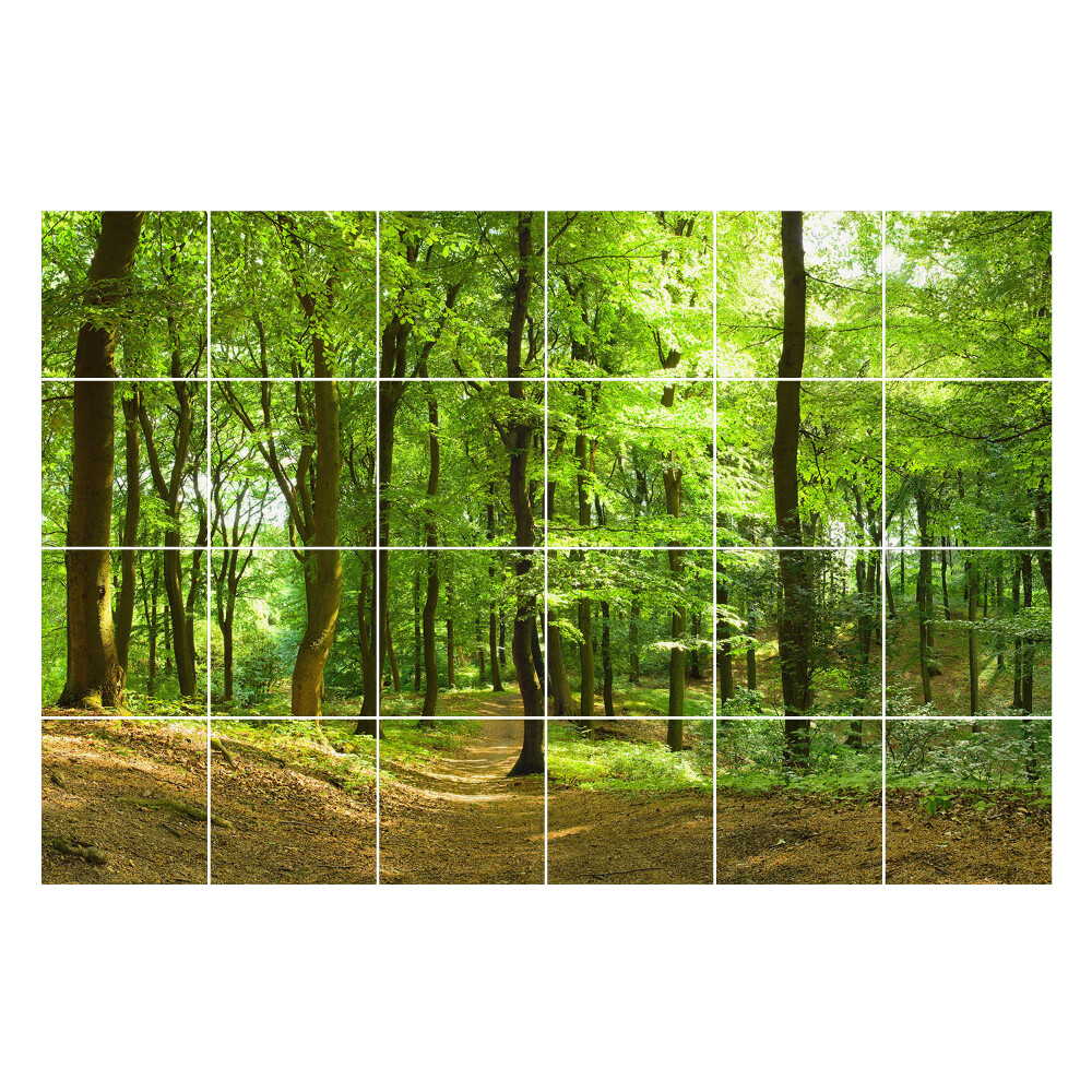 Nálepky na dlaždice Zelený les s alejou