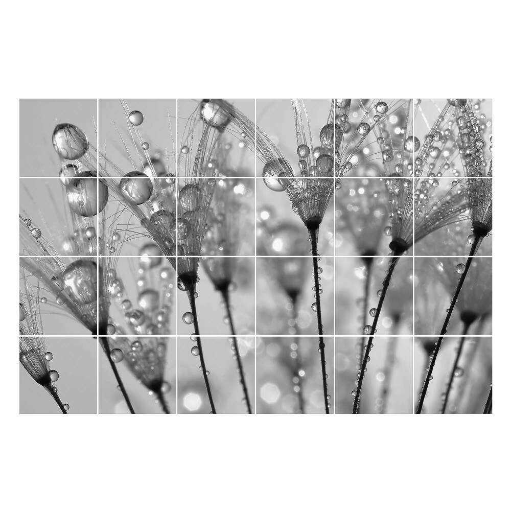 Samolepky na obklady Kvapky na jemných stonkách