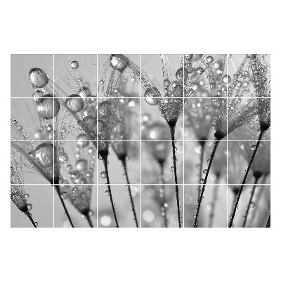 Samolepky na obklady Kvapky na jemných stonkách