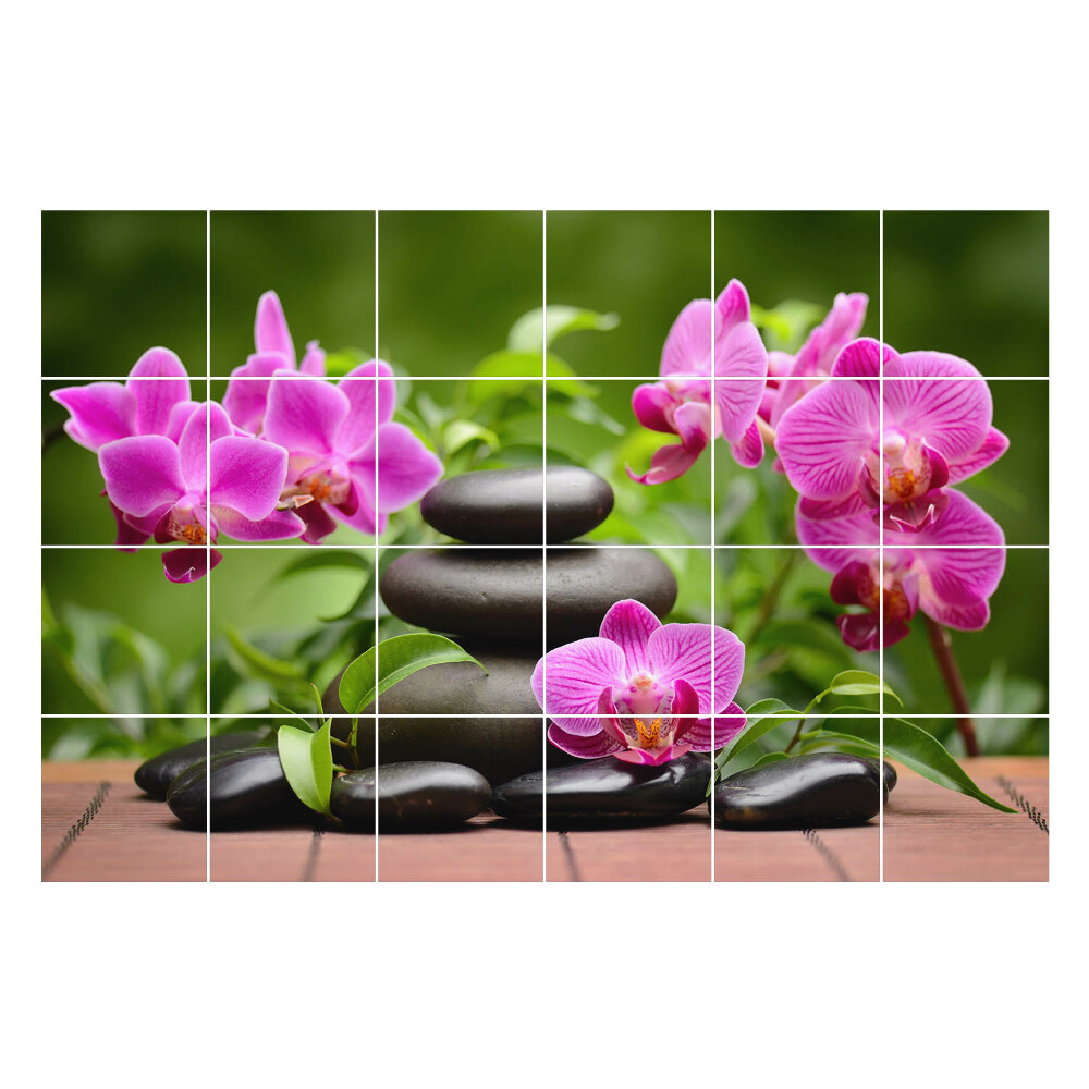 Nálepky na dlaždice Kamene a kvety orchideí