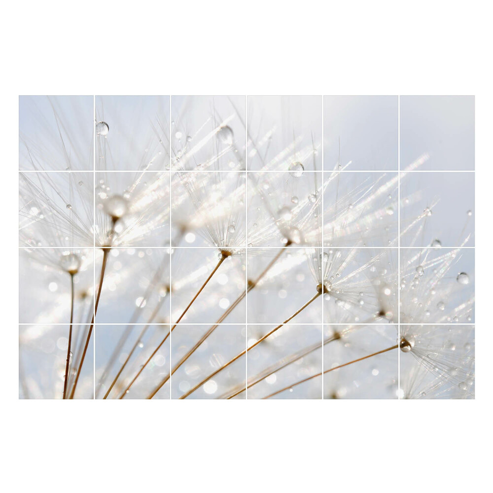 Samolepky na obklady Kvapky na púpavové páperie