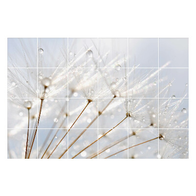 Samolepky na obklady Kvapky na púpavové páperie