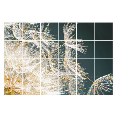 Samolepky na kachličky Jemné semienka púpavy