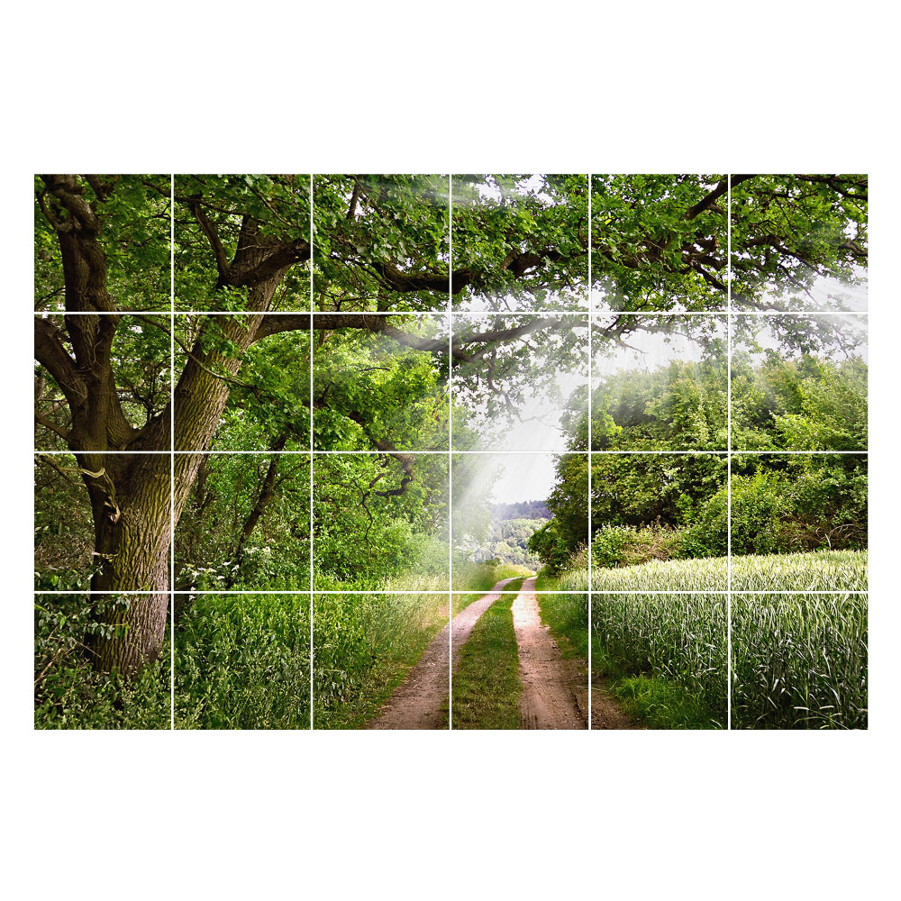 Nálepky na dlaždice Zelený chodník v lese