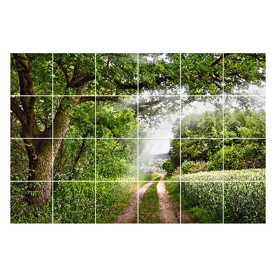 Nálepky na dlaždice Zelený chodník v lese