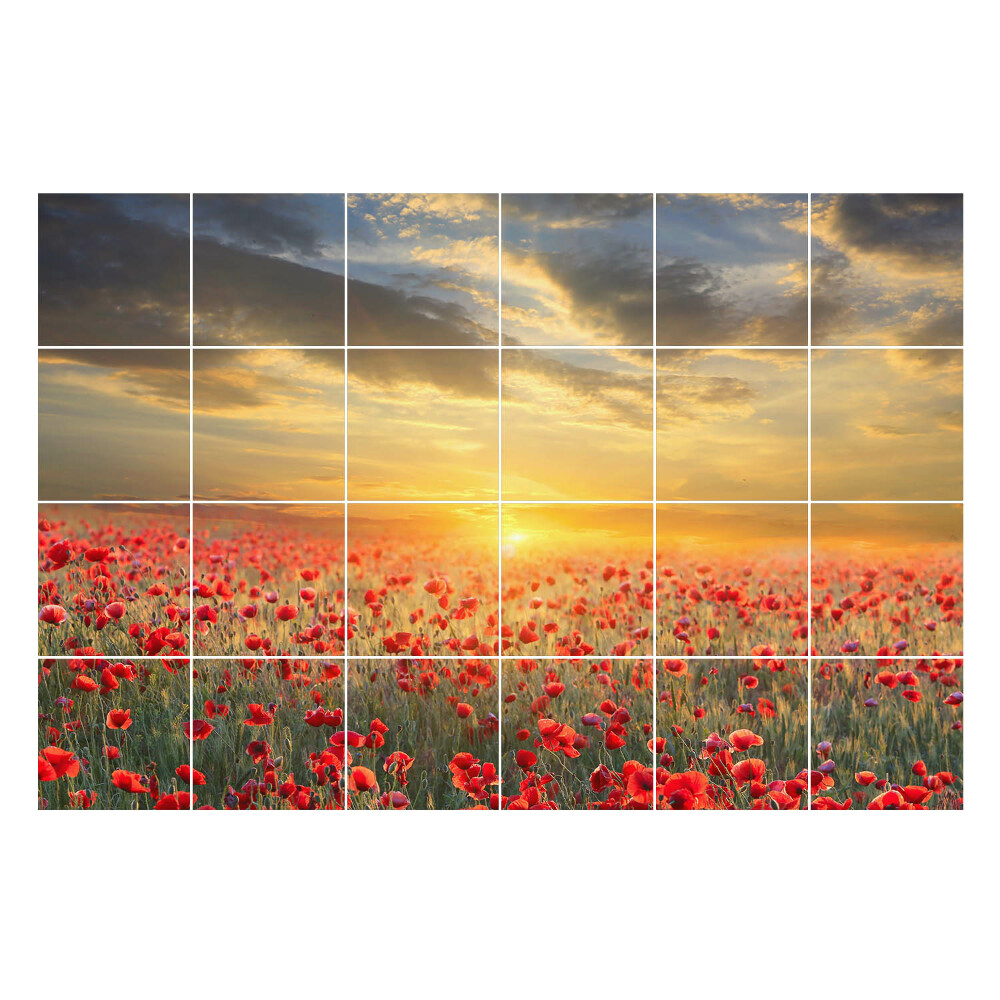 Samolepky na obklady Kvetinová krajina pri západe slnka