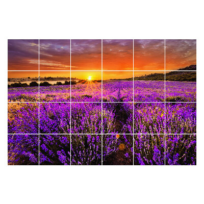 Samolepky na obklady Kvetinová krajina pri západe slnka