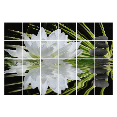 Nálepky na dlaždice Kvet na vode s kamienkami