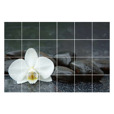 Nálepky na dlaždice Kvet na vodných kameňoch