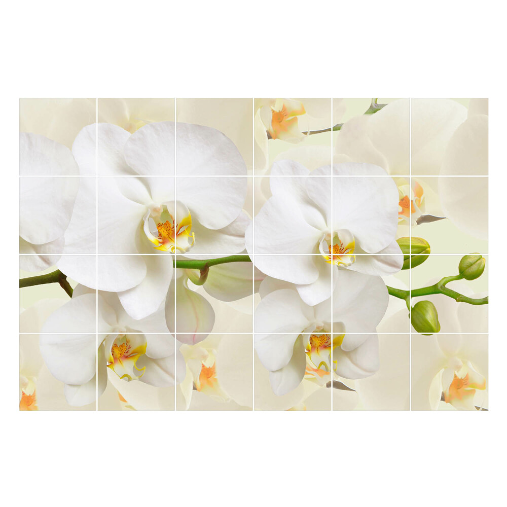 Samolepky na kachličky Kvetinové motívy orchideí