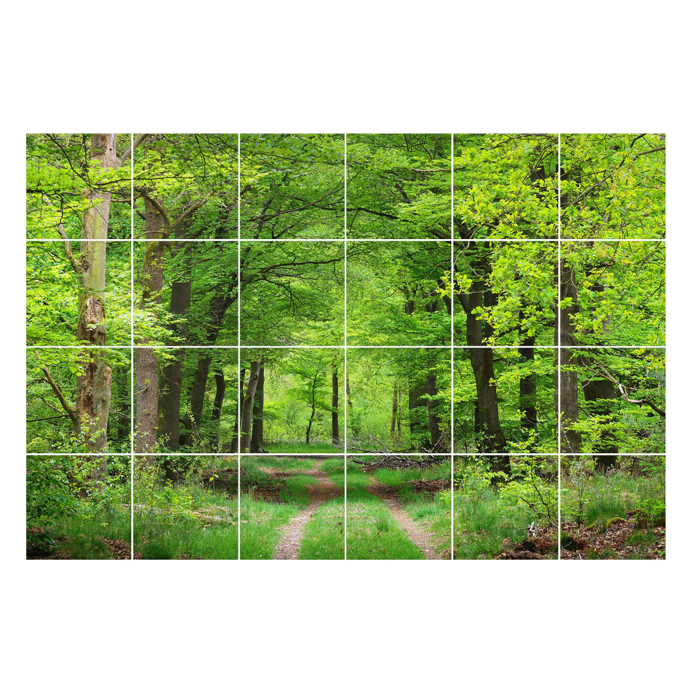 Samolepky na kachličky Lesná cesta v prírode