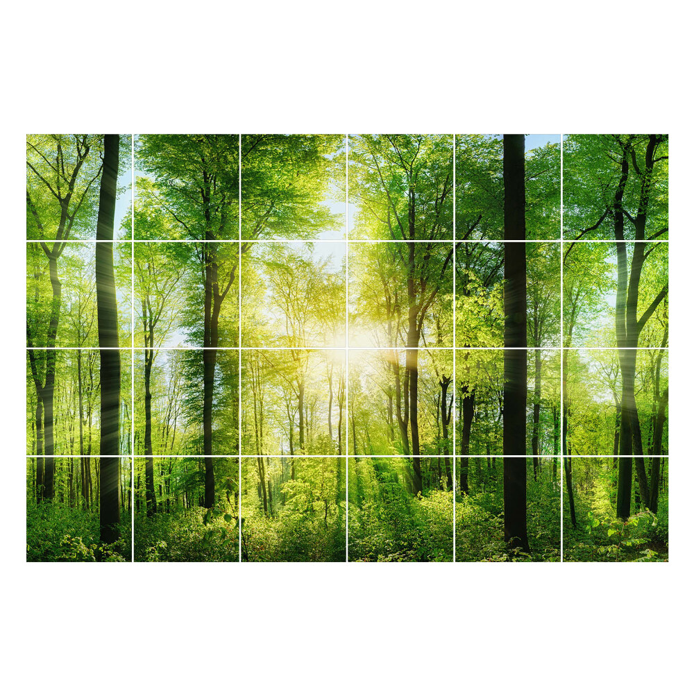 Samolepky na obklady Zelený les s lúčmi