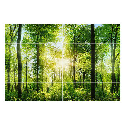 Samolepky na obklady Zelený les s lúčmi