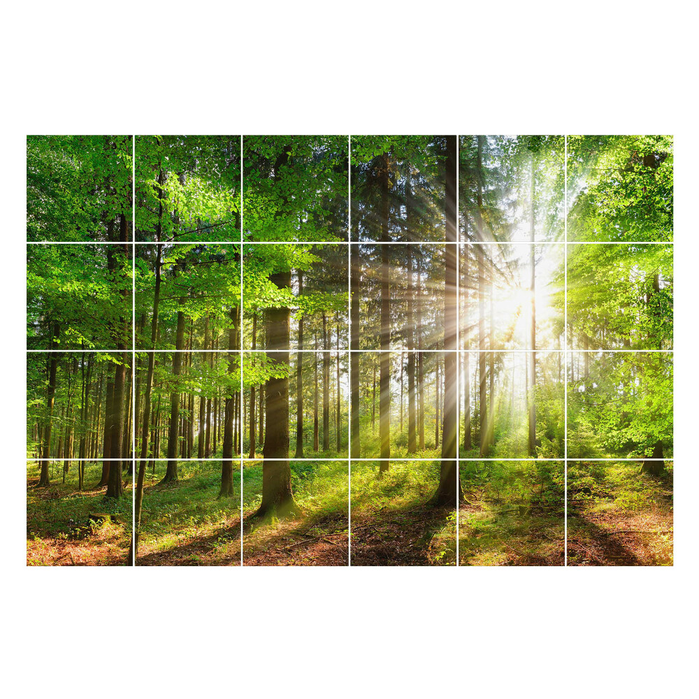 Samolepky na obklady Slnečné lúče v lese