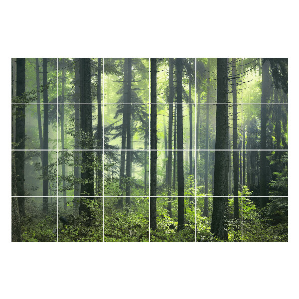 Nálepky na dlaždice Hustý les s hmlou