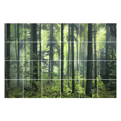 Nálepky na dlaždice Hustý les s hmlou