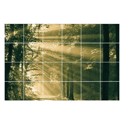 Samolepky na obklady Lúče svetla v lese