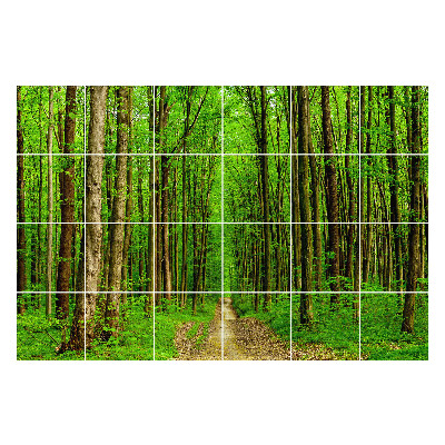 Samolepky na kachličky Zelený lesný chodník