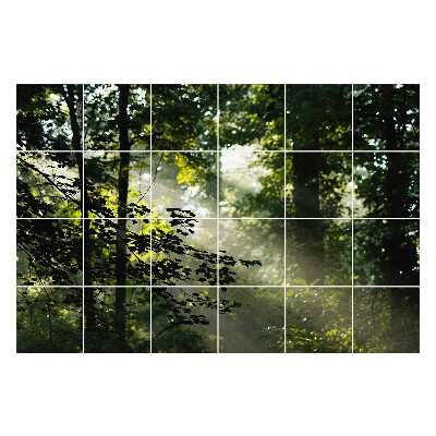 Samolepky na kachličky Lúče svetla v lese