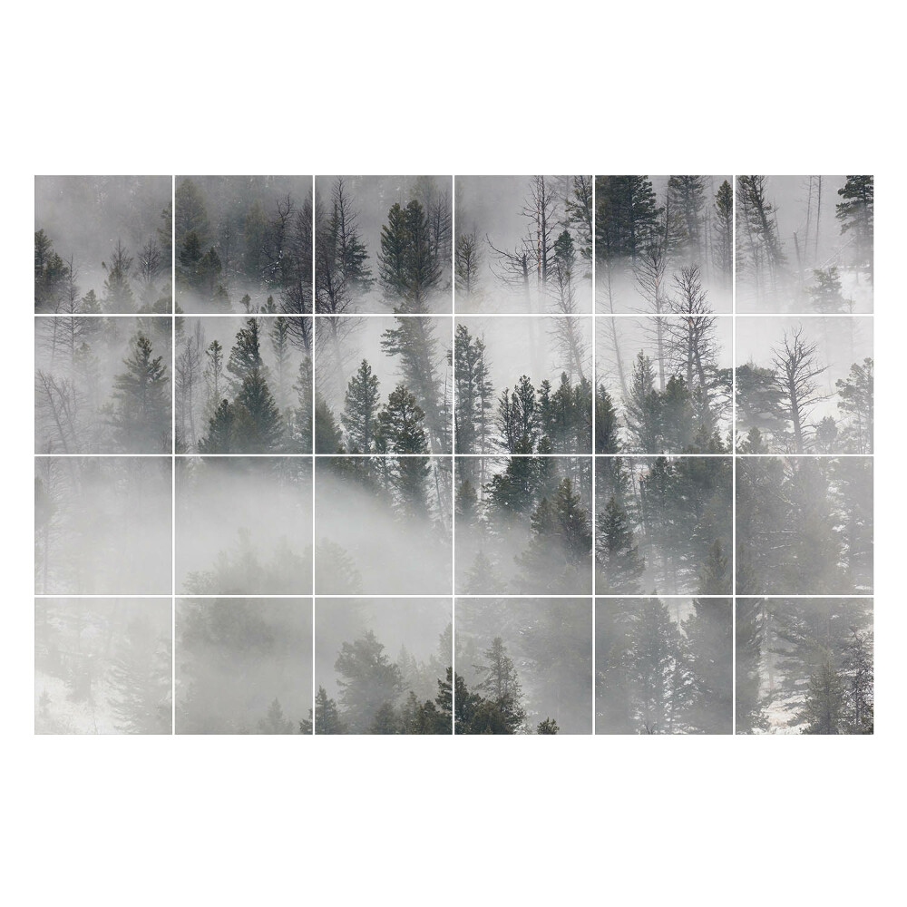 Nálepky na dlaždice Hmlisté lesné scenérie