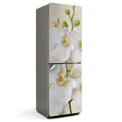 Samolepiaca nálepka na chladničku Kvetinové detaily orchidey